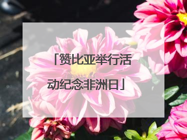 赞比亚举行活动纪念非洲日