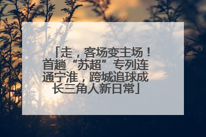 走，客场变主场！首趟“苏超”专列连通宁淮，跨城追球成长三角人新日常