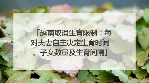 越南取消生育限制：每对夫妻自主决定生育时间、子女数量及生育间隔