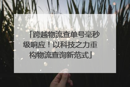 跨越物流查单号毫秒级响应！以科技之力重构物流查询新范式