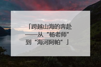 跨越山海的奔赴——从“杨老师”到“海河阿帕”