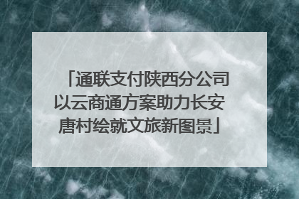 通联支付陕西分公司以云商通方案助力长安唐村绘就文旅新图景