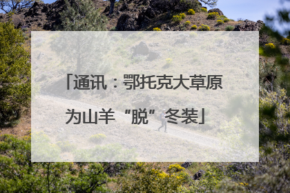 通讯：鄂托克大草原为山羊“脱”冬装