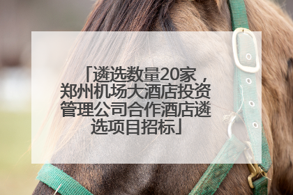 遴选数量20家，郑州机场大酒店投资管理公司合作酒店遴选项目招标