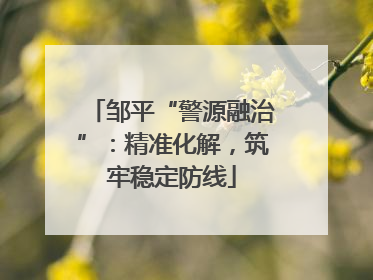 邹平“警源融治”：精准化解，筑牢稳定防线