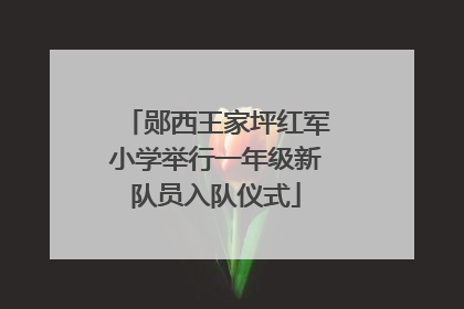 郧西王家坪红军小学举行一年级新队员入队仪式
