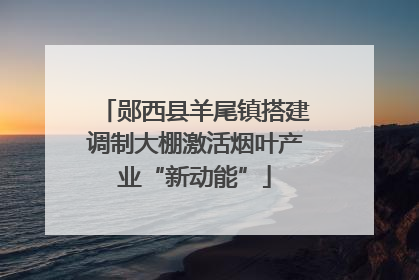 郧西县羊尾镇搭建调制大棚激活烟叶产业“新动能”
