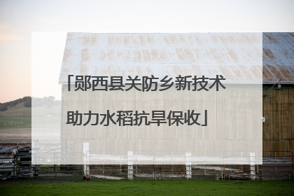 郧西县关防乡新技术助力水稻抗旱保收