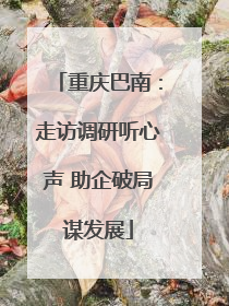重庆巴南：走访调研听心声 助企破局谋发展