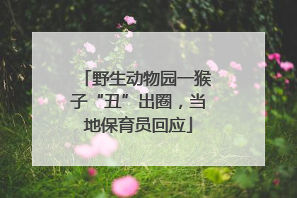 野生动物园一猴子“丑”出圈，当地保育员回应