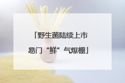野生菌陆续上市 易门“鲜”气爆棚