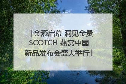 金燕启幕 洞见金贵 SCOTCH 燕窝中国新品发布会盛大举行