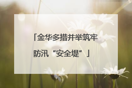 金华多措并举筑牢防汛“安全堤”