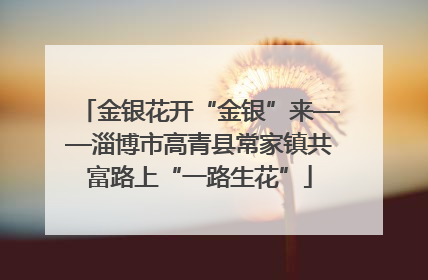 金银花开“金银”来——淄博市高青县常家镇共富路上“一路生花”