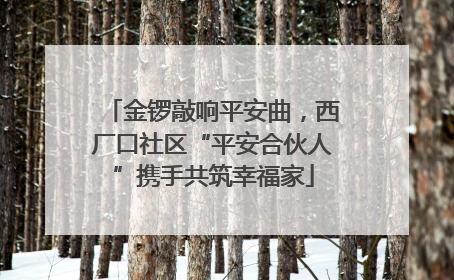 金锣敲响平安曲，西厂口社区“平安合伙人”携手共筑幸福家