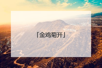 金鸡菊开