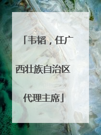 韦韬，任广西壮族自治区代理主席