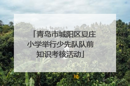 青岛市城阳区夏庄小学举行少先队队前知识考核活动