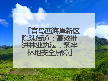 青岛西海岸新区隐珠街道：高效推进林业执法，筑牢林地安全屏障