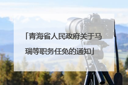 青海省人民政府关于马瑞等职务任免的通知