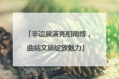 非遗展演亮相南博，曲靖文旅绽放魅力