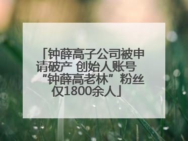 钟薛高子公司被申请破产 创始人账号“钟薛高老林”粉丝仅1800余人