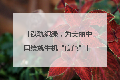 铁轨织绿，为美丽中国绘就生机“底色”