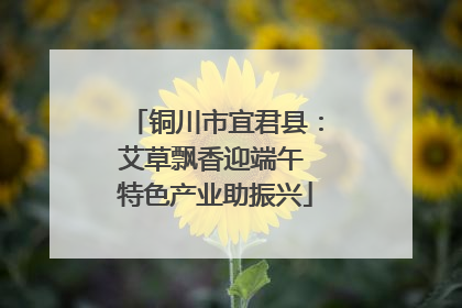 铜川市宜君县：艾草飘香迎端午 特色产业助振兴