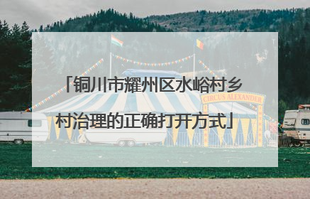 铜川市耀州区水峪村乡村治理的正确打开方式