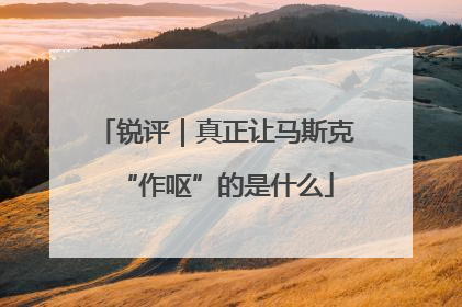锐评｜真正让马斯克“作呕”的是什么