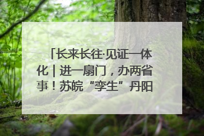 长来长往·见证一体化｜进一扇门，办两省事！苏皖“孪生”丹阳如何做到的？