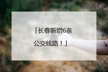 长春新增6条公交线路！