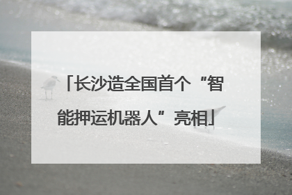 长沙造全国首个“智能押运机器人”亮相