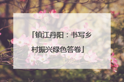 镇江丹阳：书写乡村振兴绿色答卷