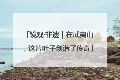 镜观·非遗｜在武夷山，这片叶子创造了传奇