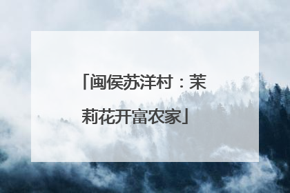 闽侯苏洋村：茉莉花开富农家