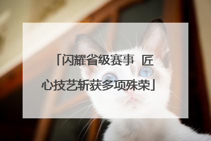闪耀省级赛事  匠心技艺斩获多项殊荣