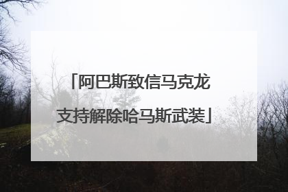 阿巴斯致信马克龙 支持解除哈马斯武装