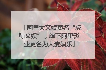 阿里大文娱更名“虎鲸文娱”，旗下阿里影业更名为大麦娱乐