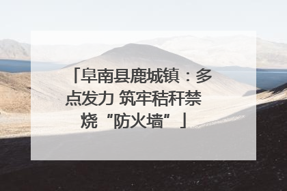 阜南县鹿城镇：多点发力 筑牢秸秆禁烧“防火墙”
