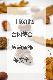 防汛防台风综合应急演练保安全