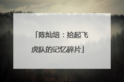 陈灿培：拾起飞虎队的记忆碎片