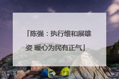 陈强：执行维和展雄姿 暖心为民有正气