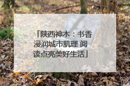 陕西神木：书香浸润城市肌理 阅读点亮美好生活