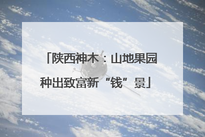 陕西神木：山地果园种出致富新“钱”景