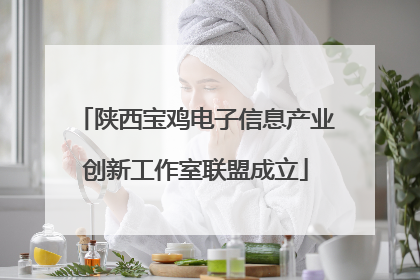 陕西宝鸡电子信息产业创新工作室联盟成立