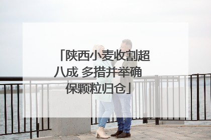 陕西小麦收割超八成 多措并举确保颗粒归仓
