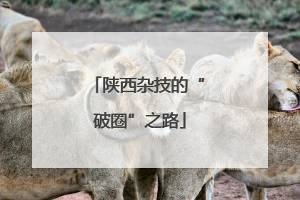 陕西杂技的“破圈”之路
