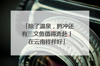 除了温泉，腾冲还有三文鱼值得奔赴丨在云南样样好