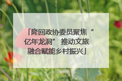 隆回政协委员聚焦“亿年龙洞” 推动文旅融合赋能乡村振兴